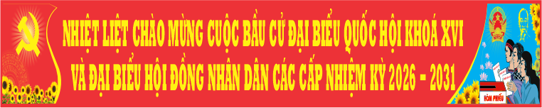 Bầu cử