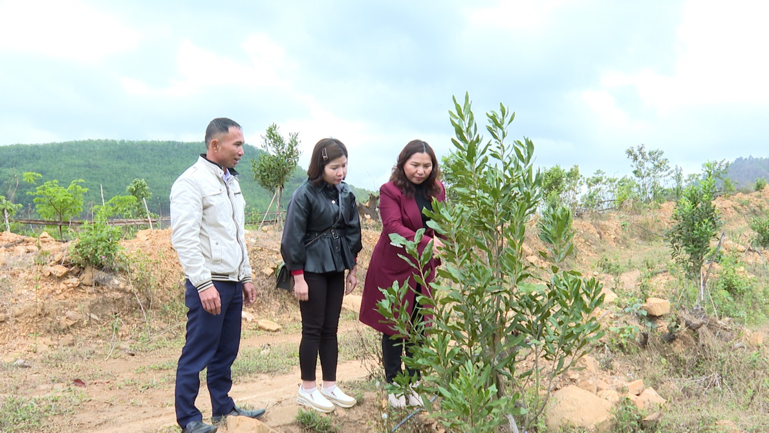 Đ C HUV PCT UBND Huyện Kiểm tra mô hình mắc ca tại xã Nà Sáy