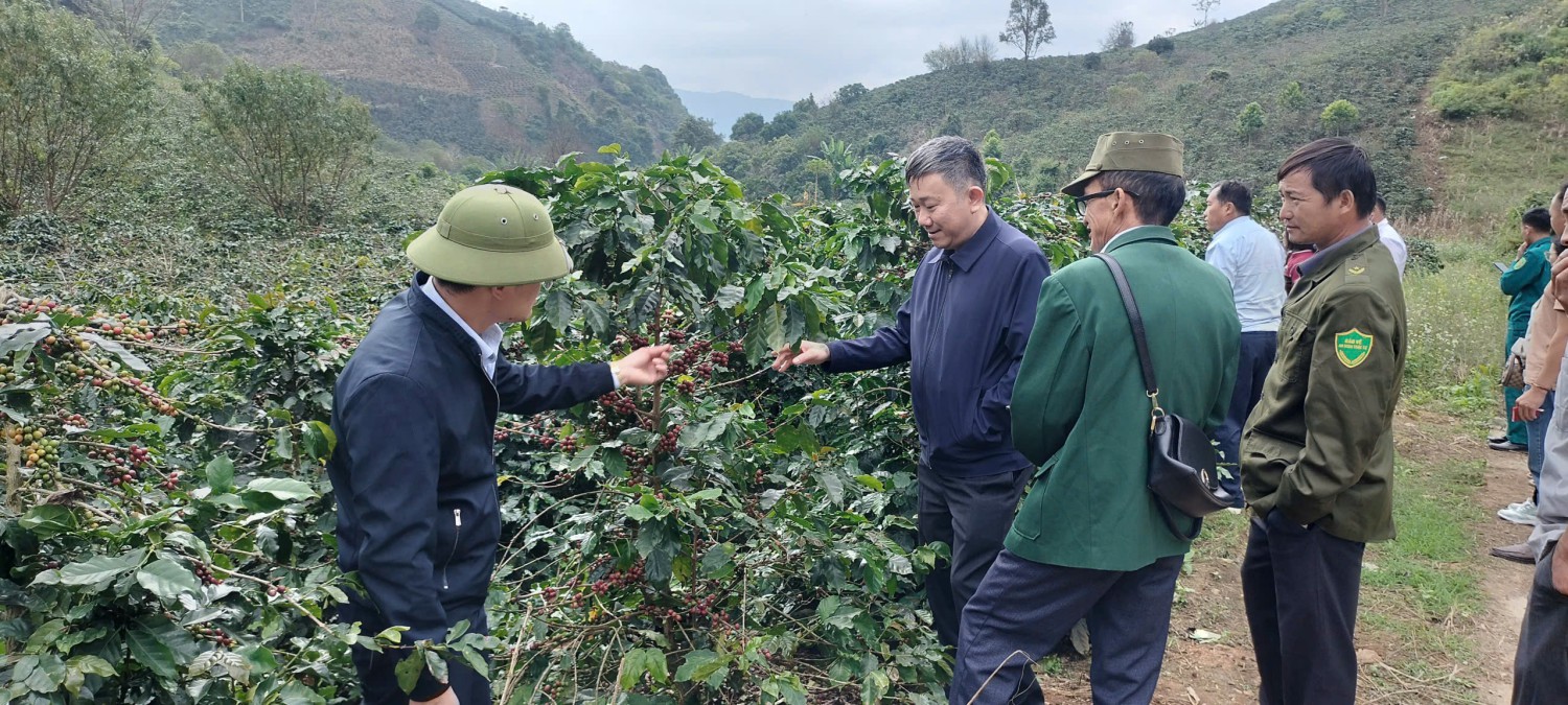 Đoàn công tác xã Sam Mứn tham quan, học tập kinh nghiệm trồng cà phê tại Quài Tở