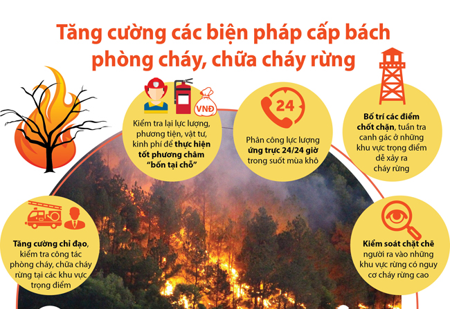 ​ QUÀI TỞ CHỦ ĐỘNG PHÒNG, CHỐNG CHÁY RỪNG MÙA KHÔ – GIÓ LÀO​