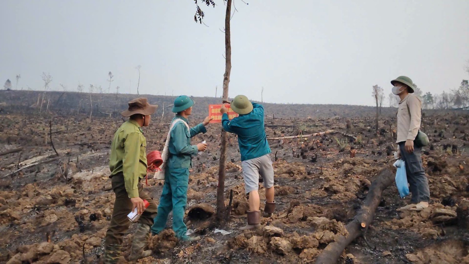 Quài Tở đồng loạt tuyên truyền bảo vệ rừng và...